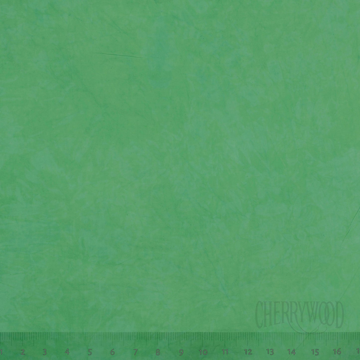 0750 Wintergreen Half Yard