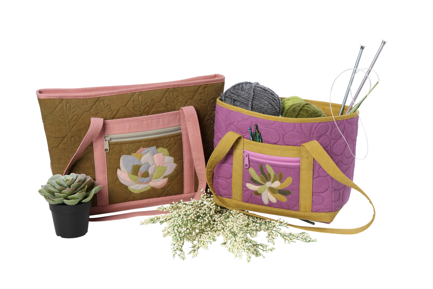 Baby Succulents for Bags