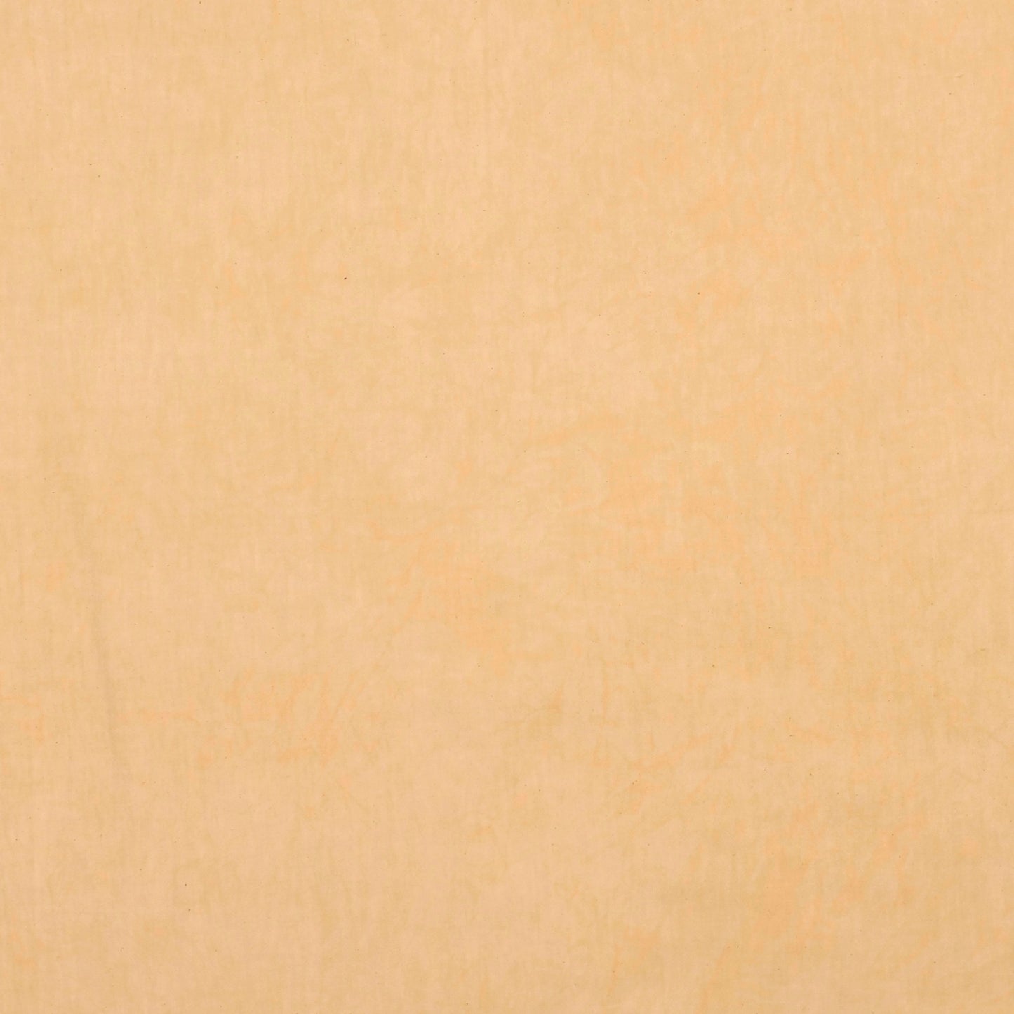 1450 Sand Half Yard