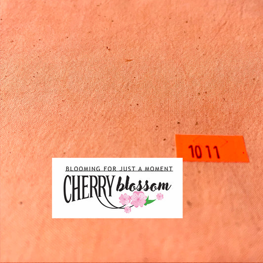 Cherry Blossoms - 1011