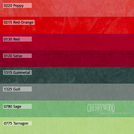 Desafío Amapola 2024 