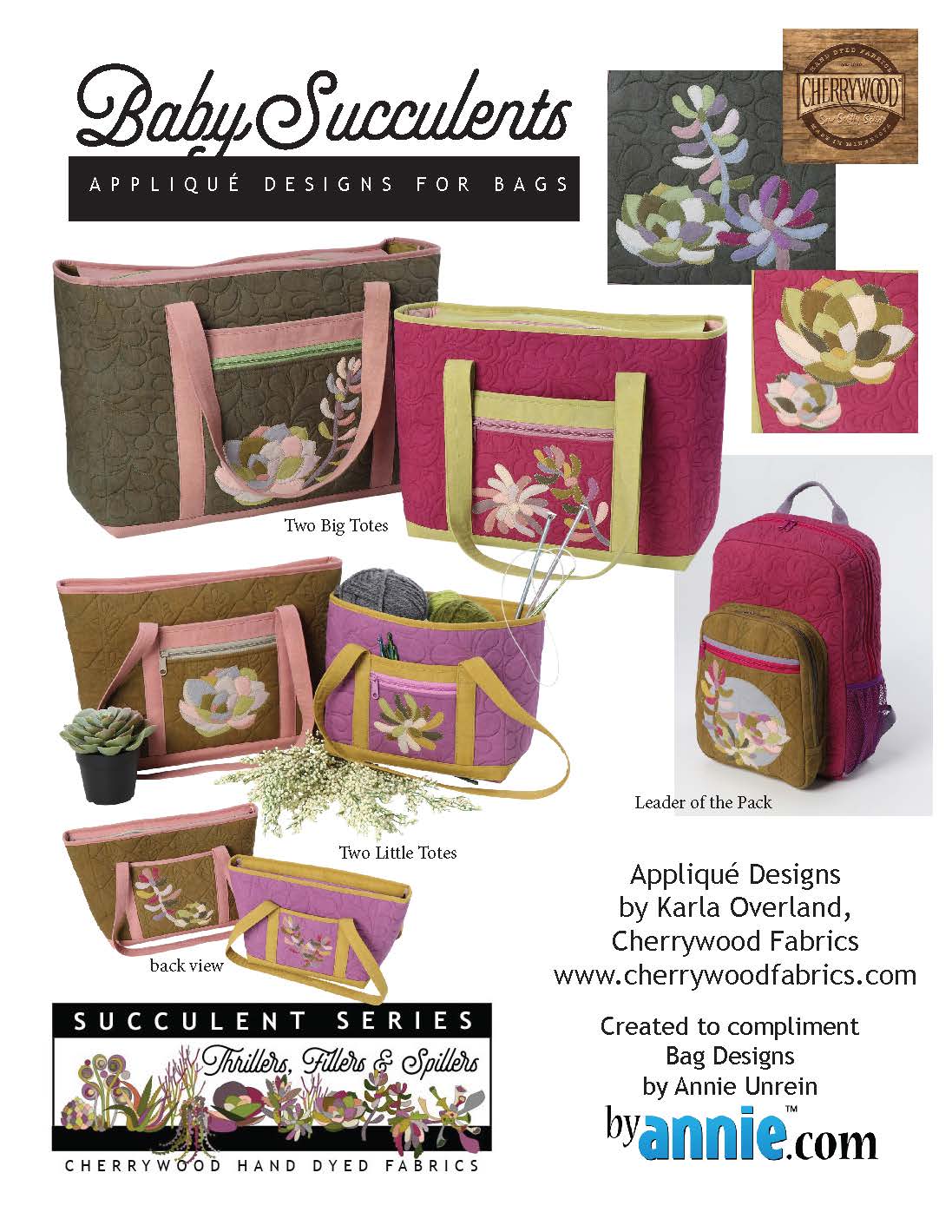 Baby Succulents for Bags