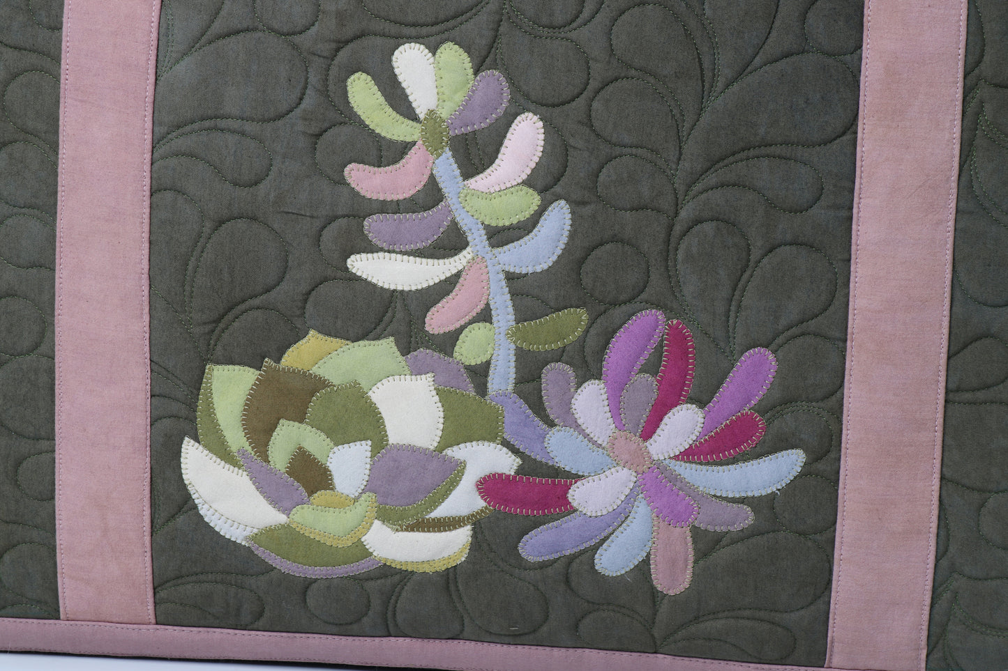 Baby Succulents for Bags