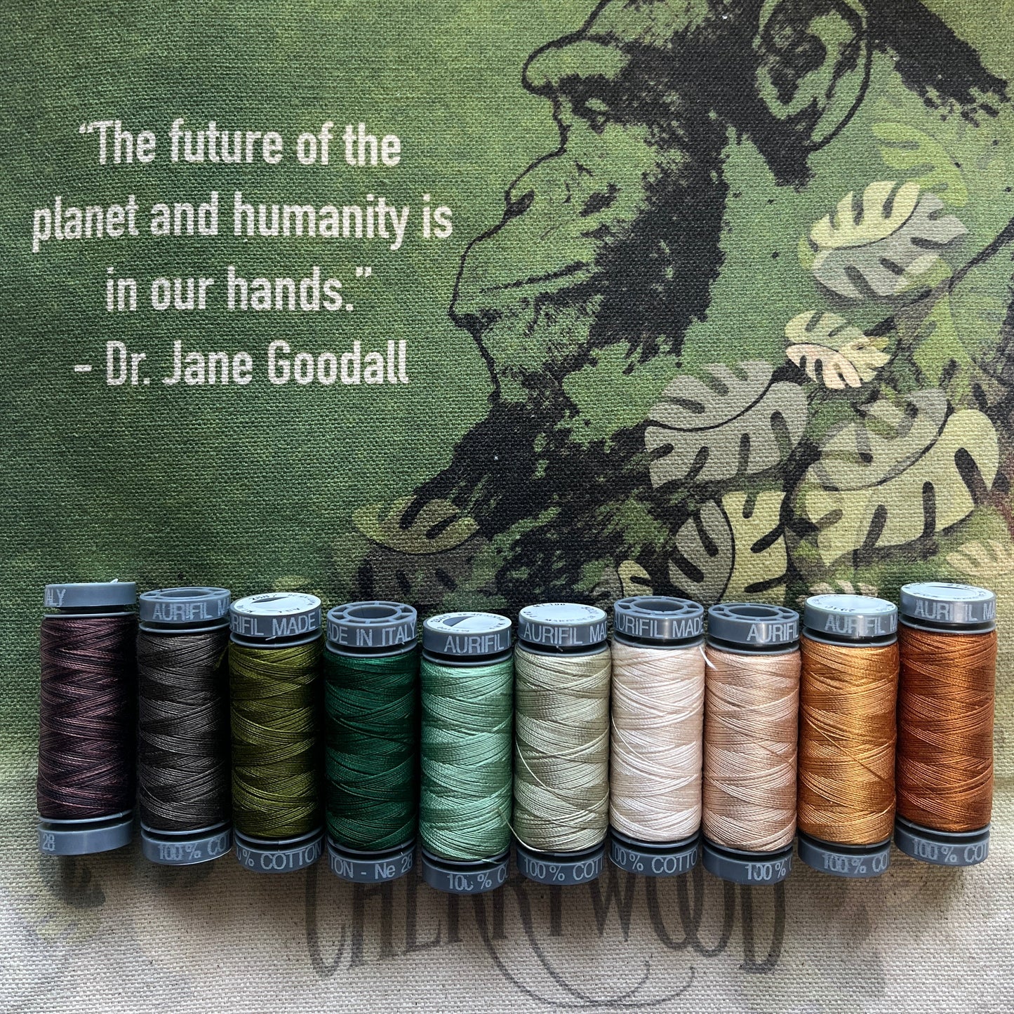 Aurifil Thread Collection: Goodall Challenge