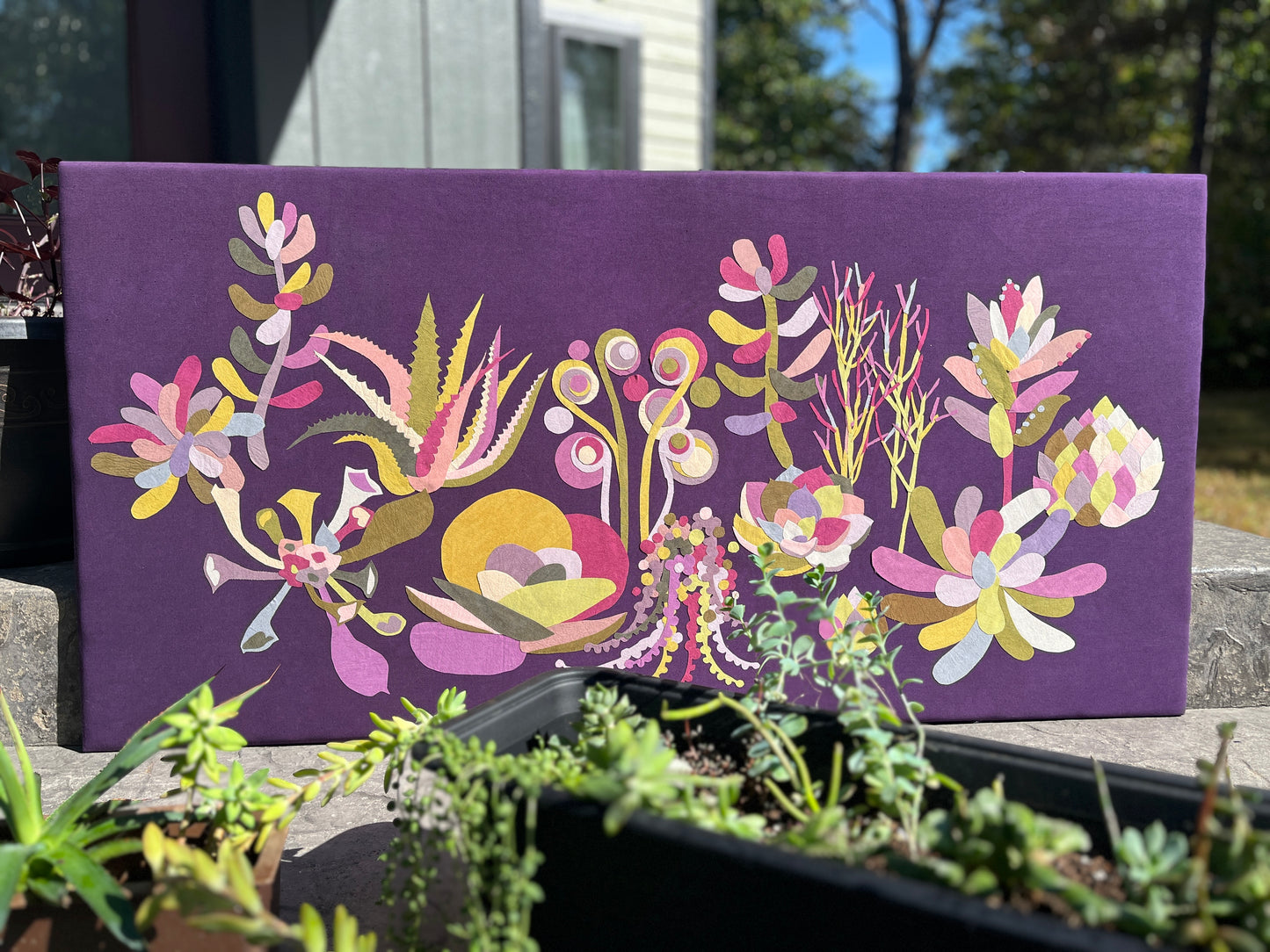 Succulent Garden KIT