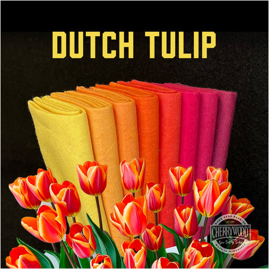 Dutch Tulip