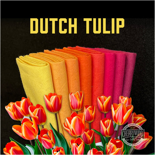 Tulipán holandés