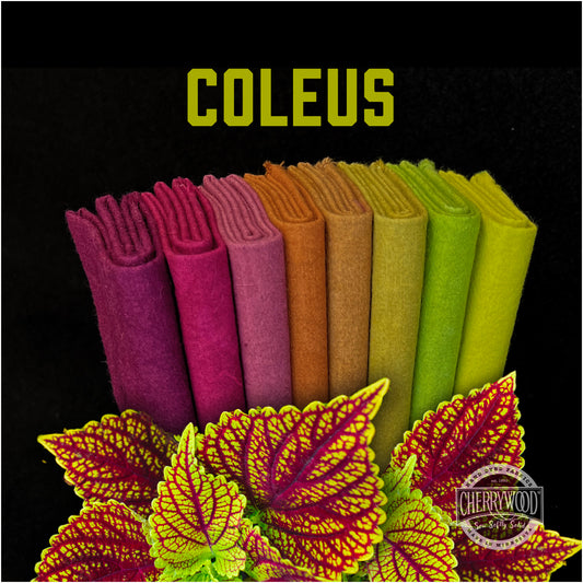 Coleus