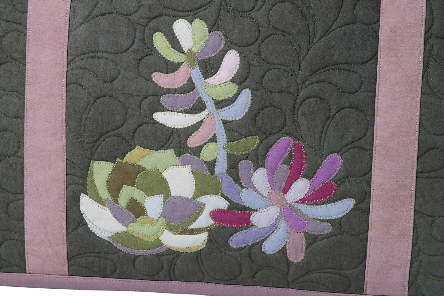 Succulent Garden KIT