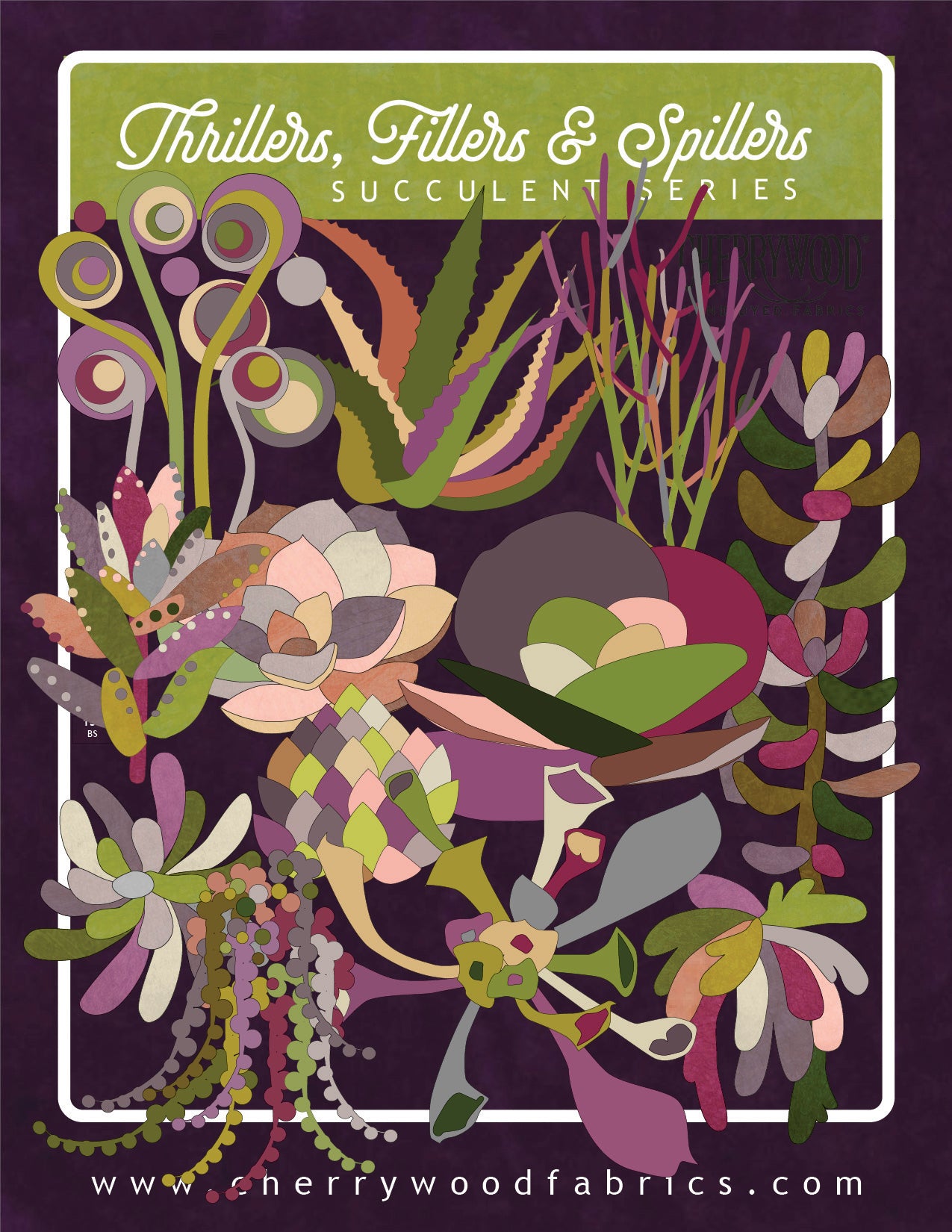 Succulent Garden KIT