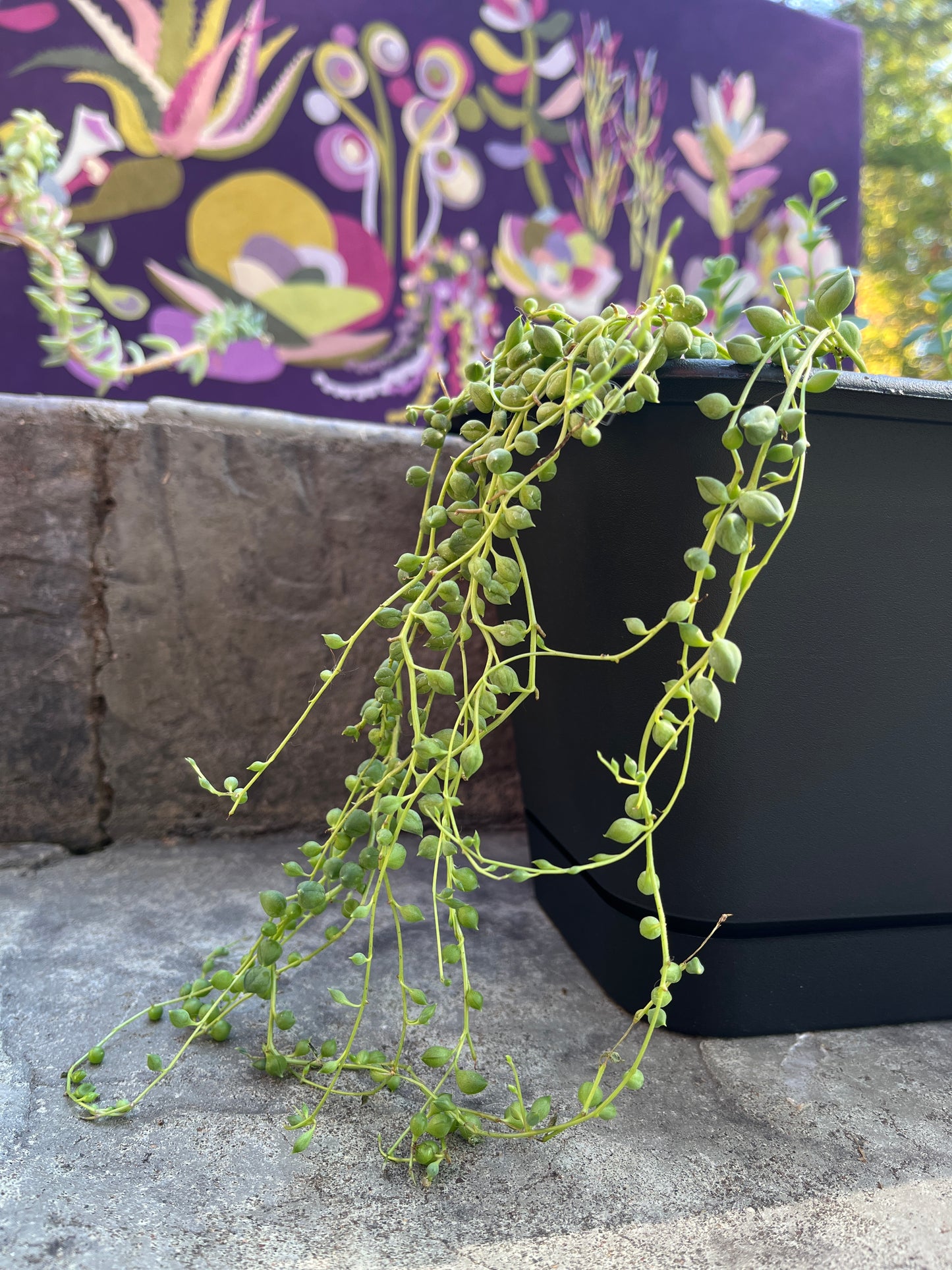 String of Pearls pattern