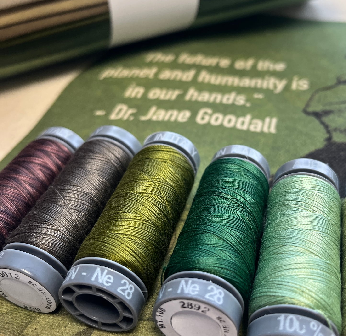 Aurifil Thread Collection: Goodall Challenge