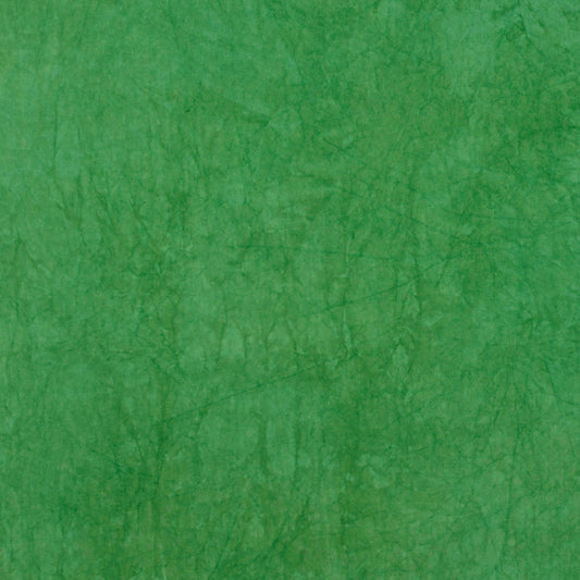 0735 Orégano