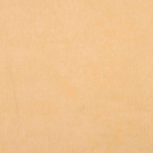 1450 Sand Half Yard